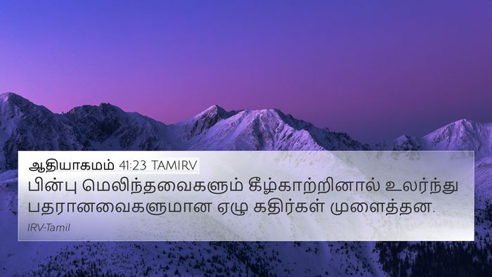 ஆதியாகமம் 41:23 TAMIRV 4K Wallpaper - பின்பு - 4K Wallpaper Bible Verse