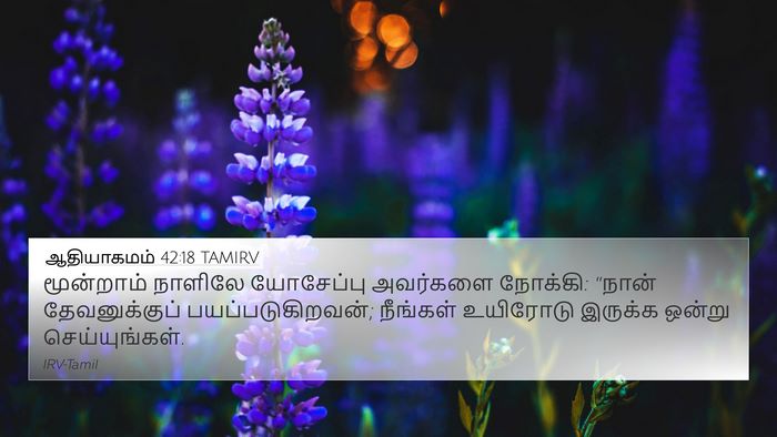 ஆதியாகமம் 42:18 TAMIRV Bible Verse Image