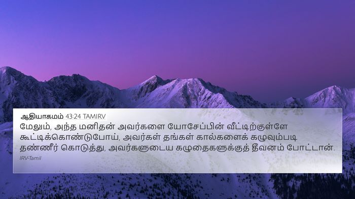 ஆதியாகமம் 43:24 TAMIRV Bible Verse Image