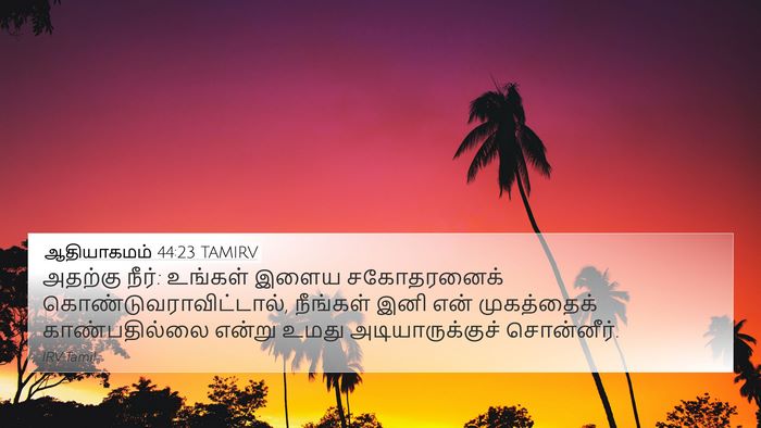 ஆதியாகமம் 44:23 TAMIRV Bible Verse Image