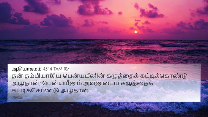 ஆதியாகமம் 45:14 TAMIRV Bible Verse Image