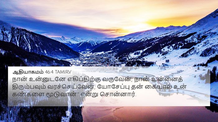 ஆதியாகமம் 46:4 TAMIRV Bible Verse Image