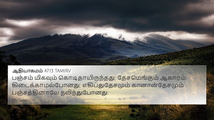 ஆதியாகமம் 47:13 TAMIRV Bible Verse Image