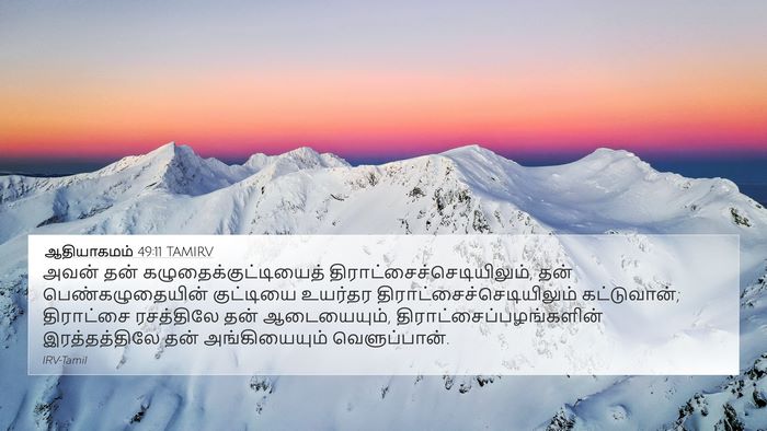 ஆதியாகமம் 49:11 TAMIRV Bible Verse Image