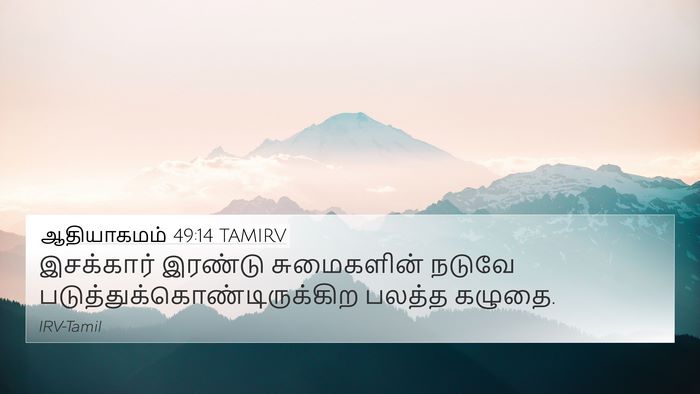 ஆதியாகமம் 49:14 TAMIRV Bible Verse Image