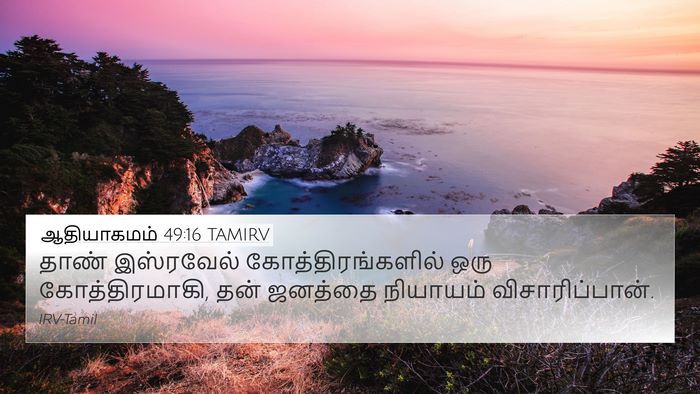 ஆதியாகமம் 49:16 TAMIRV Bible Verse Image