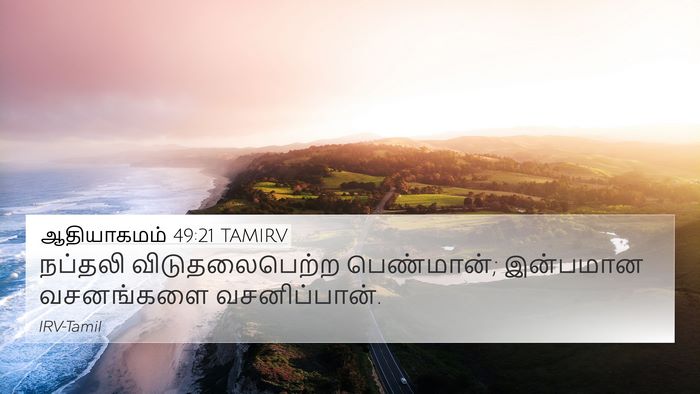 ஆதியாகமம் 49:21 TAMIRV Bible Verse Image