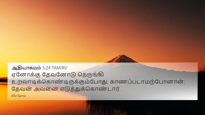 ஆதியாகமம் 5:24 TAMIRV Bible Verse Image