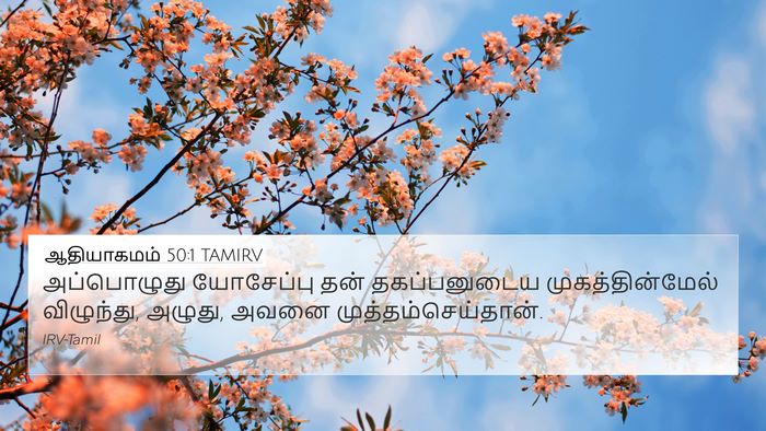 ஆதியாகமம் 50:1 TAMIRV 4K Wallpaper - அப்பொழுது - 4K Wallpaper Bible Verse