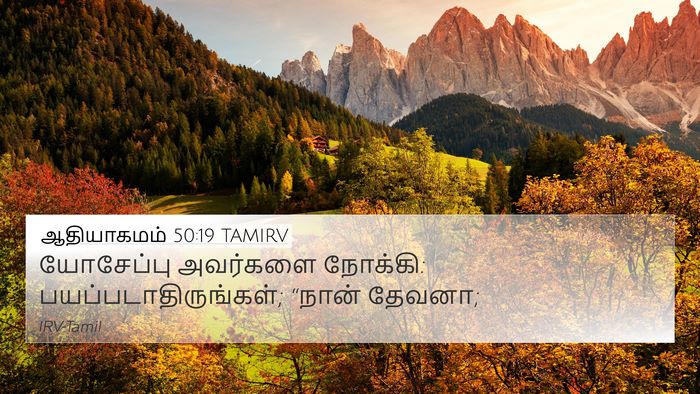 ஆதியாகமம் 50:19 TAMIRV Bible Verse Image