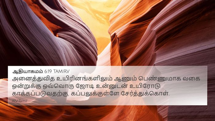 ஆதியாகமம் 6:19 TAMIRV Bible Verse Image