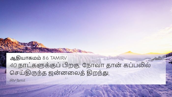 ஆதியாகமம் 8:6 TAMIRV 4K Wallpaper - 40 நாட்களுக்குப் - 4K Wallpaper Bible Verse