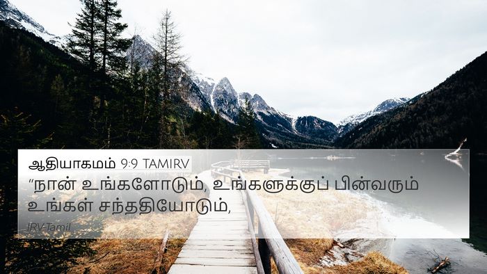 ஆதியாகமம் 9:9 TAMIRV Bible Verse Image