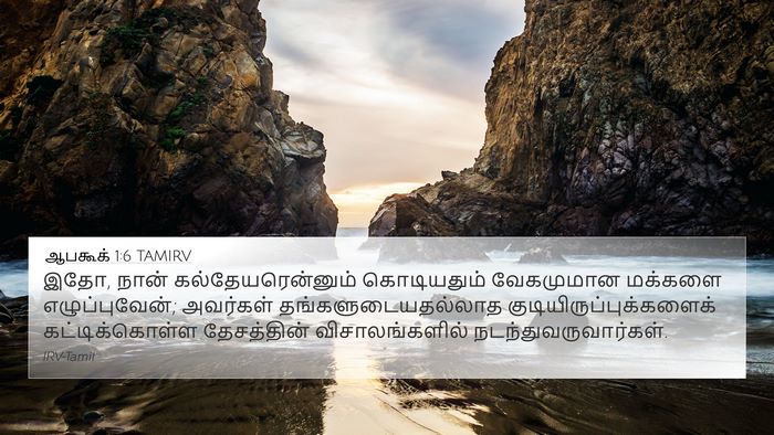 ஆபகூக் 1:6 TAMIRV Bible Verse Image