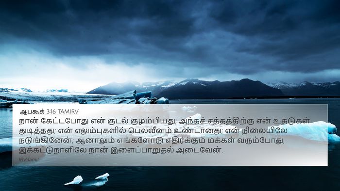 ஆபகூக் 3:16 TAMIRV Bible Verse Image