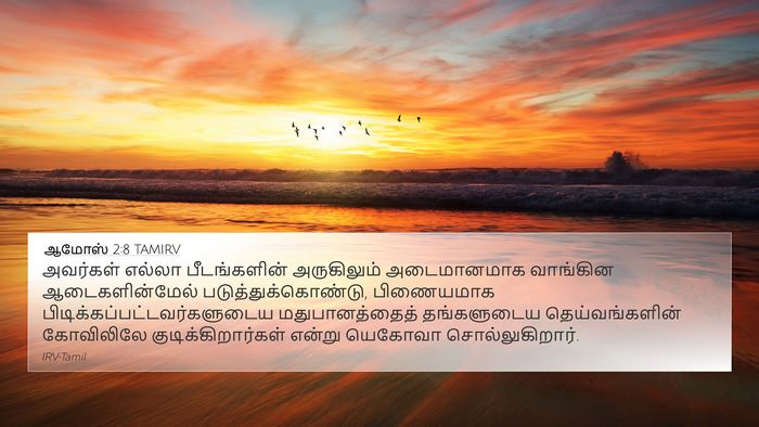 ஆமோஸ் 2:8 TAMIRV Bible Verse Image