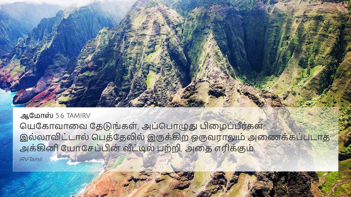 ஆமோஸ் 5:6 TAMIRV Bible Verse Image