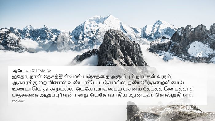 ஆமோஸ் 8:11 TAMIRV Bible Verse Image