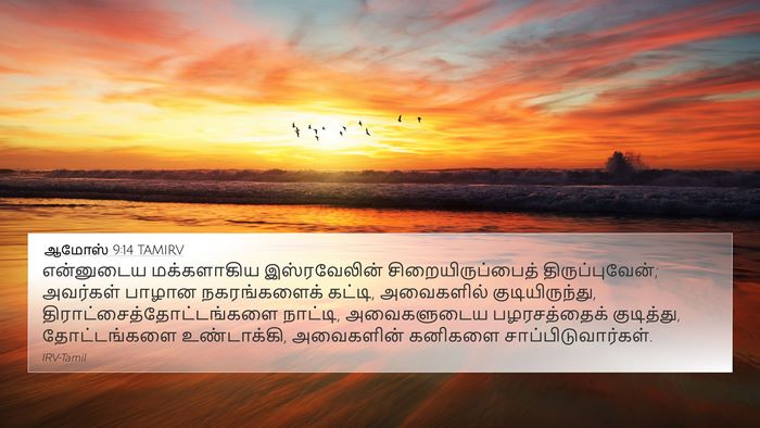 ஆமோஸ் 9:14 TAMIRV Bible Verse Image