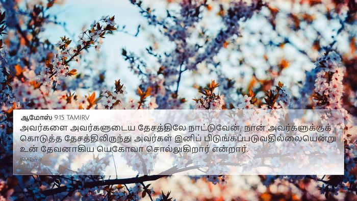 ஆமோஸ் 9:15 TAMIRV Bible Verse Image