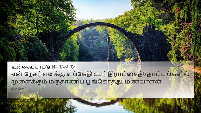 உன்னதப்பாட்டு 1:14 TAMIRV Bible Verse Image