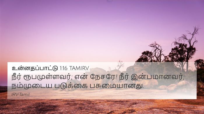 உன்னதப்பாட்டு 1:16 TAMIRV Bible Verse Image