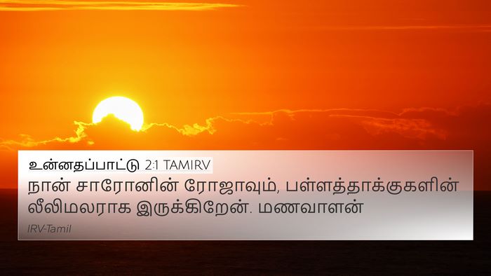 உன்னதப்பாட்டு 2:1 TAMIRV Bible Verse Image
