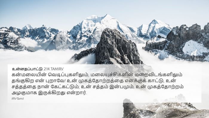 உன்னதப்பாட்டு 2:14 TAMIRV Bible Verse Image