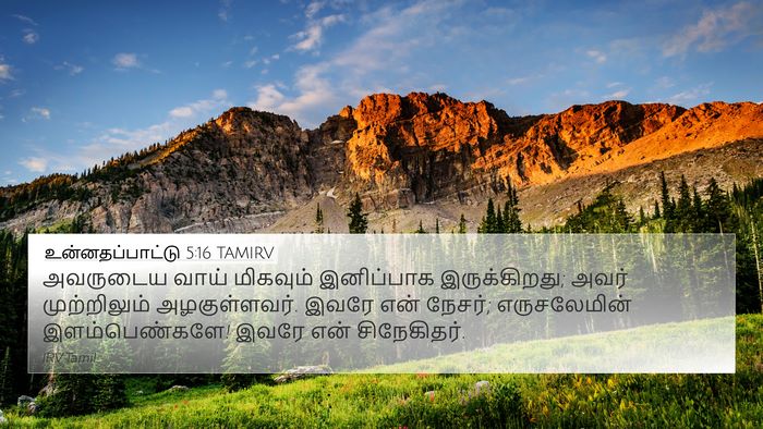 உன்னதப்பாட்டு 5:16 TAMIRV Bible Verse Image