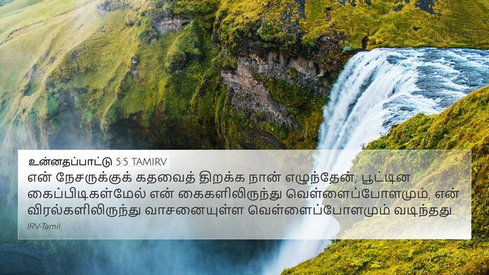 உன்னதப்பாட்டு 5:5 TAMIRV Bible Verse Image