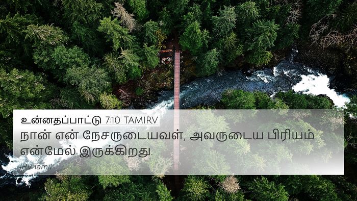 உன்னதப்பாட்டு 7:10 TAMIRV Bible Verse Image