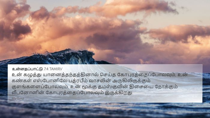 உன்னதப்பாட்டு 7:4 TAMIRV Bible Verse Image
