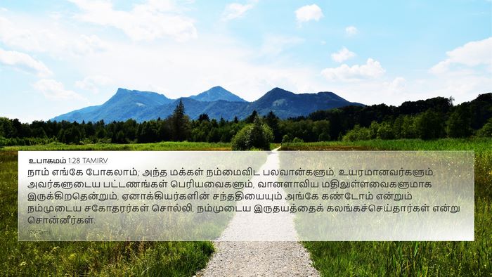 உபாகமம் 1:28 TAMIRV Bible Verse Image