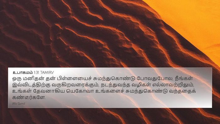 உபாகமம் 1:31 TAMIRV Bible Verse Image