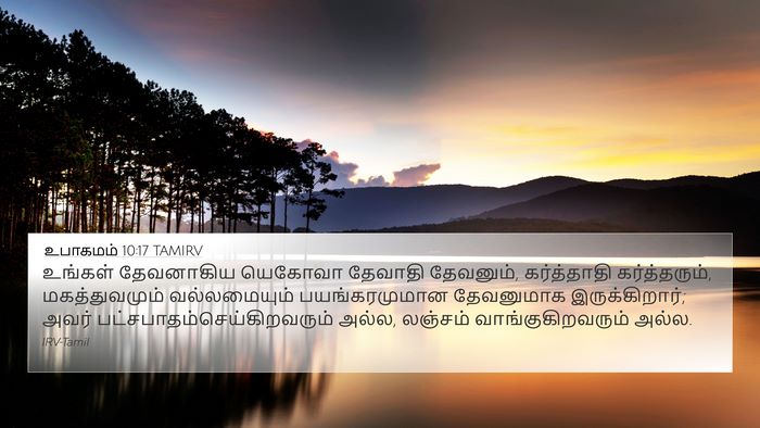உபாகமம் 10:17 TAMIRV Bible Verse Image