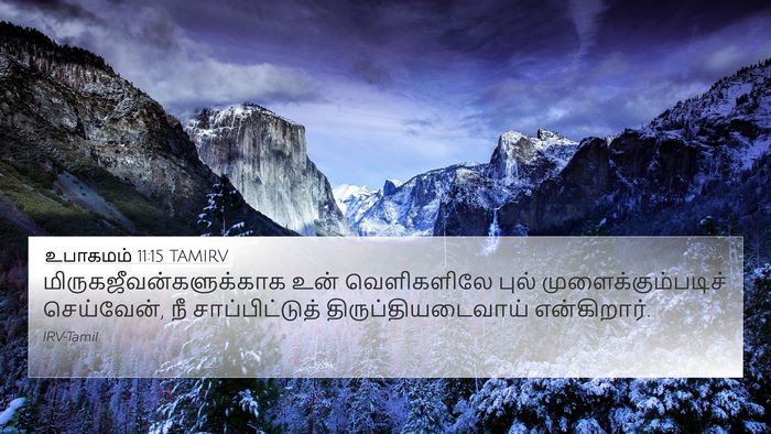 உபாகமம் 11:15 TAMIRV Bible Verse Image