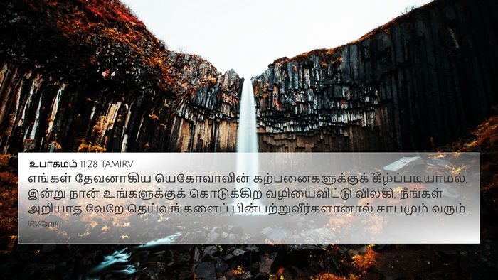 உபாகமம் 11:28 TAMIRV Bible Verse Image