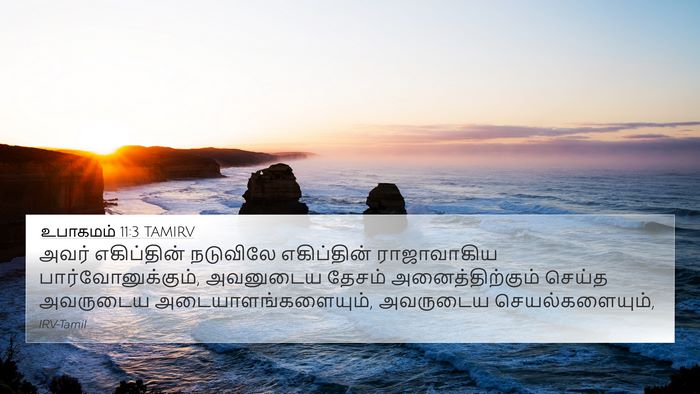உபாகமம் 11:3 TAMIRV 4K Wallpaper - அவர் எகிப்தின் - 4K Wallpaper Bible Verse