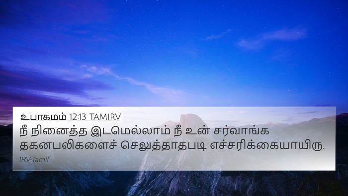 உபாகமம் 12:13 TAMIRV Bible Verse Image