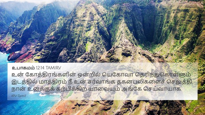 உபாகமம் 12:14 TAMIRV Bible Verse Image