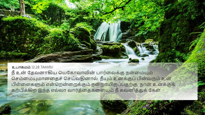 உபாகமம் 12:28 TAMIRV Bible Verse Image