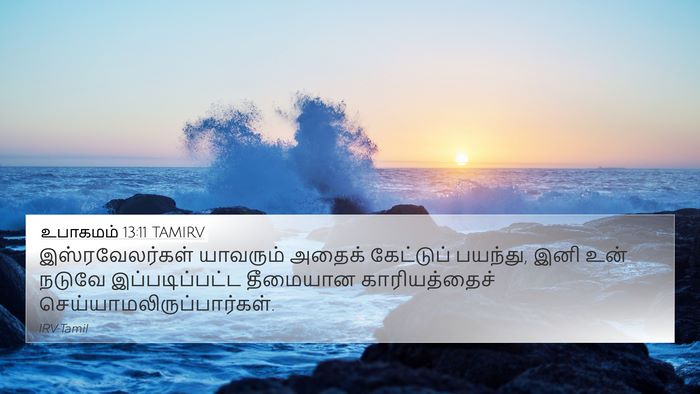 உபாகமம் 13:11 TAMIRV Bible Verse Image