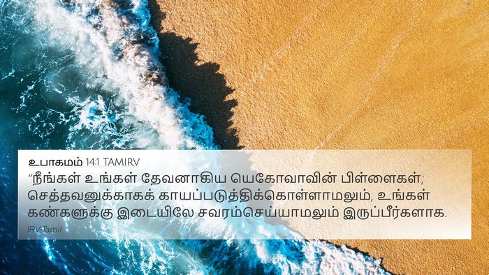 உபாகமம் 14:1 TAMIRV Bible Verse Image