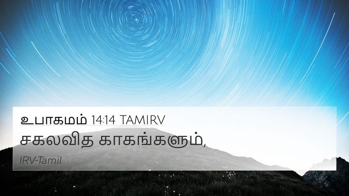 உபாகமம் 14:14 TAMIRV 4K Wallpaper - சகலவித - 4K Wallpaper Bible Verse