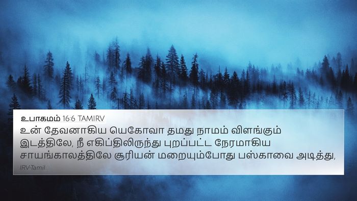 உபாகமம் 16:6 TAMIRV Bible Verse Image