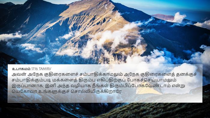 உபாகமம் 17:16 TAMIRV Bible Verse Image