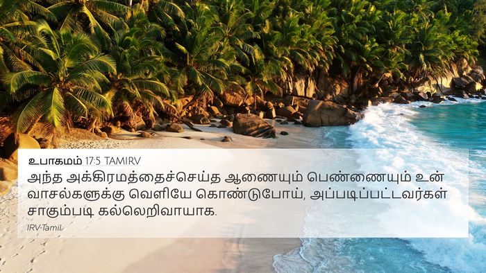 உபாகமம் 17:5 TAMIRV Bible Verse Image