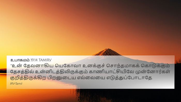 உபாகமம் 19:14 TAMIRV Bible Verse Image
