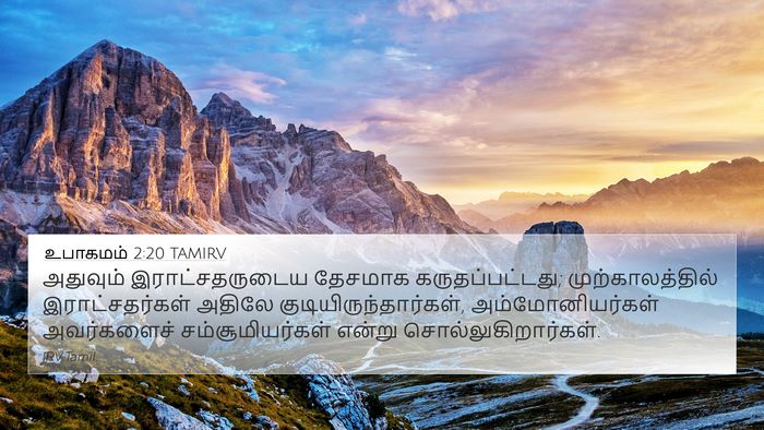 உபாகமம் 2:20 TAMIRV Bible Verse Image