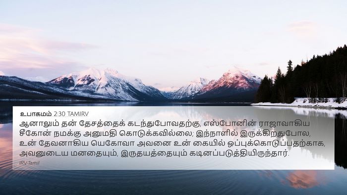 உபாகமம் 2:30 TAMIRV Bible Verse Image